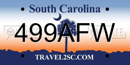499AFW South Carolina License Plate
