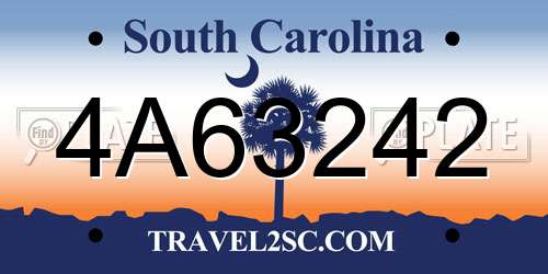4A63242 South Carolina License Plate