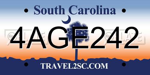 4AGE242 South Carolina License Plate