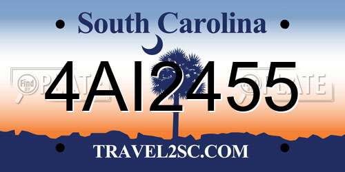 4AI2455 South Carolina License Plate