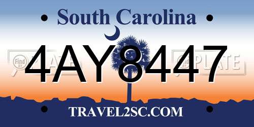 4AY8447 South Carolina License Plate