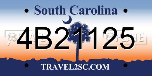 4B21125 South Carolina License Plate