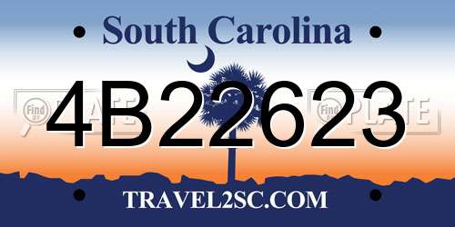 4B22623 South Carolina License Plate