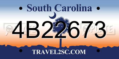4B22673 South Carolina License Plate
