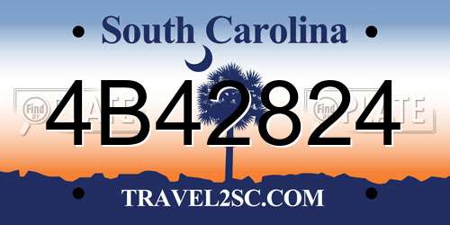 4B42824 South Carolina License Plate