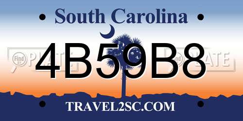 4B59B8 South Carolina License Plate