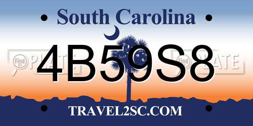 4B59S8 South Carolina License Plate