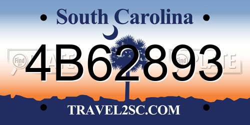 4B62893 South Carolina License Plate