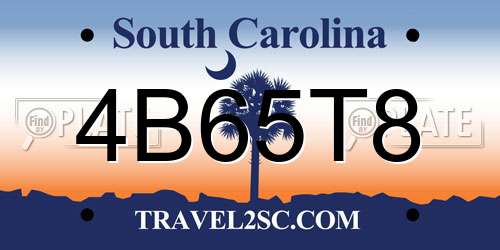 4B65T8 South Carolina License Plate