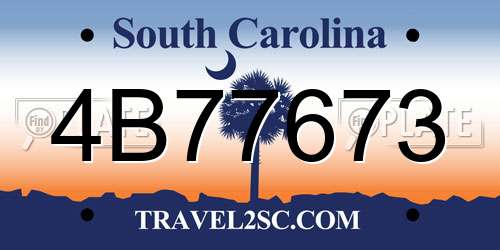 4B77673 South Carolina License Plate