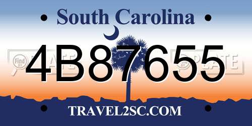 4B87655 South Carolina License Plate