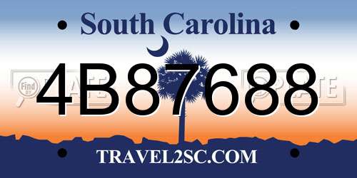 4B87688 South Carolina License Plate