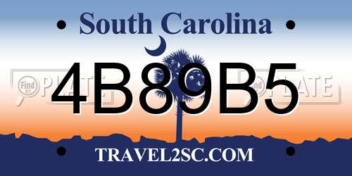4B89B5 South Carolina License Plate