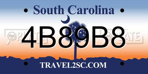 4B89B8 South Carolina License Plate
