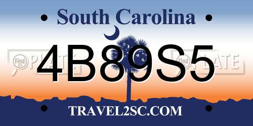 4B89S5 South Carolina License Plate
