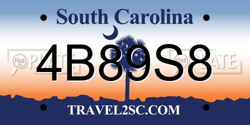 4B89S8 South Carolina License Plate