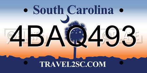 4BAQ493 South Carolina License Plate