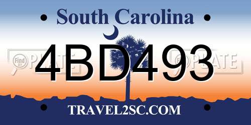 4BD493 South Carolina License Plate