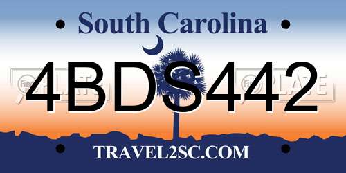 4BDS442 South Carolina License Plate