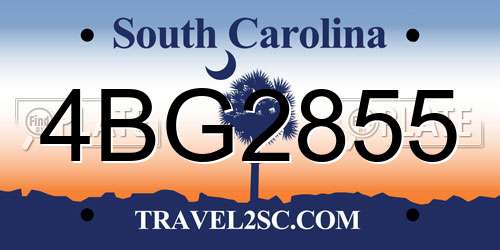 4BG2855 South Carolina License Plate