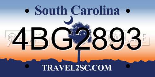 4BG2893 South Carolina License Plate