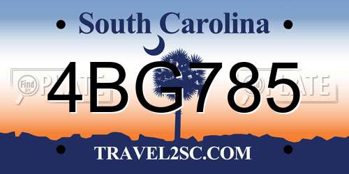 4BG785 South Carolina License Plate
