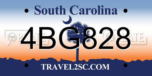 4BG828 South Carolina License Plate