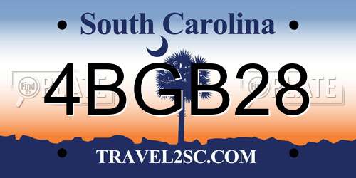 4BGB28 South Carolina License Plate