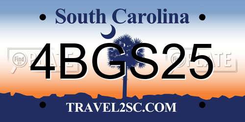 4BGS25 South Carolina License Plate