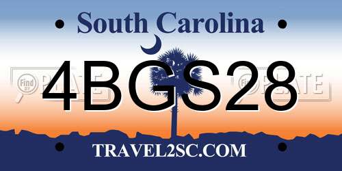 4BGS28 South Carolina License Plate