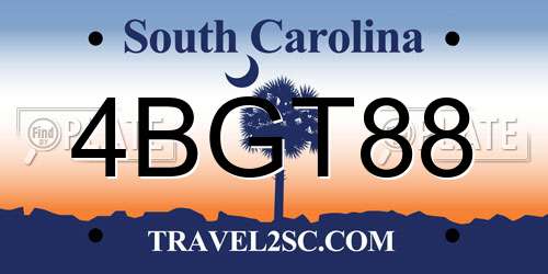 4BGT88 South Carolina License Plate