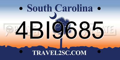 4BI9685 South Carolina License Plate