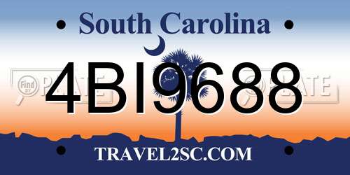 4BI9688 South Carolina License Plate