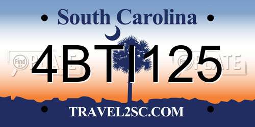 4BTI125 South Carolina License Plate