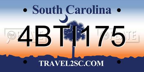 4BTI175 South Carolina License Plate