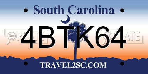 4BTK64 South Carolina License Plate