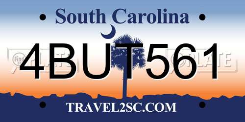 4BUT561 South Carolina License Plate