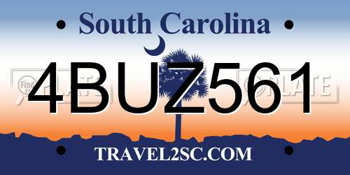 4BUZ561 South Carolina License Plate