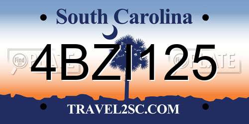4BZI125 South Carolina License Plate