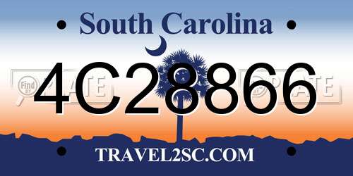 4C28866 South Carolina License Plate