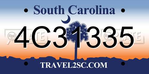 4C31335 South Carolina License Plate