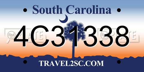 4C31338 South Carolina License Plate