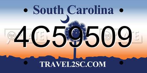 4C59509 South Carolina License Plate
