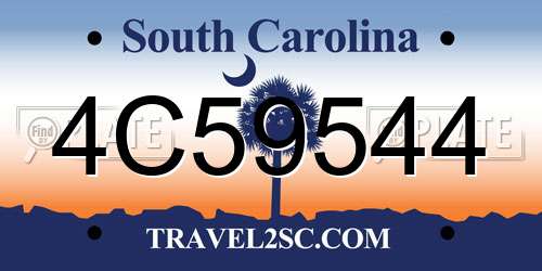 4C59544 South Carolina License Plate