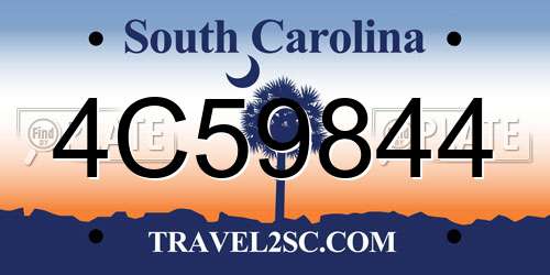 4C59844 South Carolina License Plate