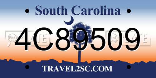 4C89509 South Carolina License Plate
