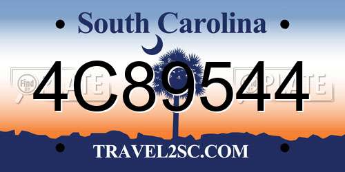 4C89544 South Carolina License Plate