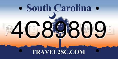 4C89809 South Carolina License Plate