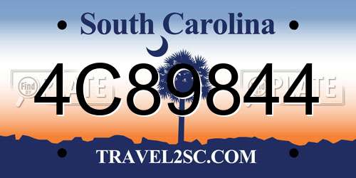 4C89844 South Carolina License Plate