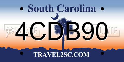 4CDB90 South Carolina License Plate